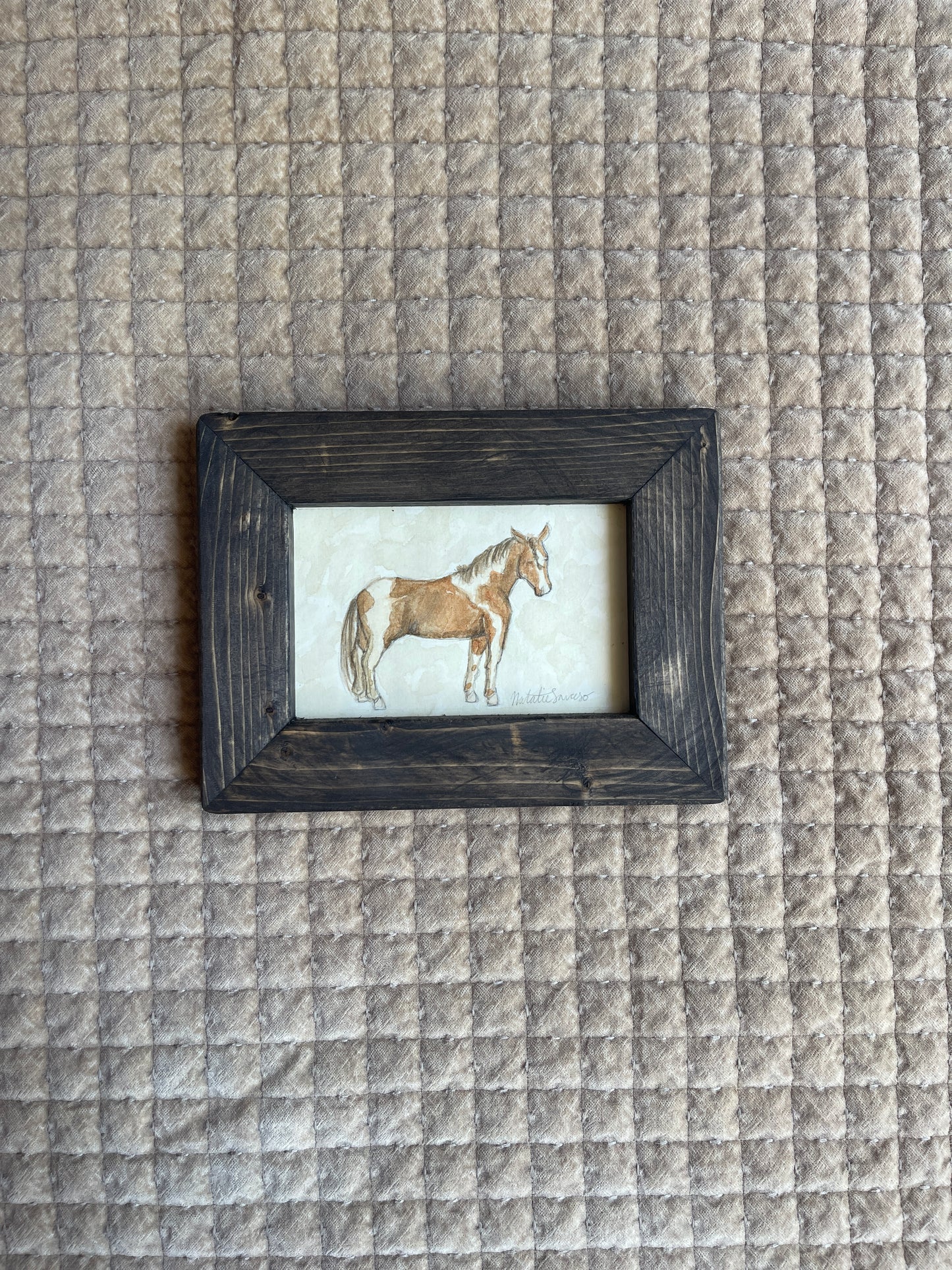 ‘Appaloosa’